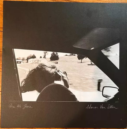 Sharon Van Etten: Are We There CLR - LP Record - Main image