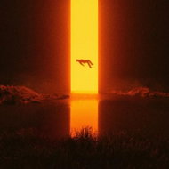 Gaerea: Loss - LP Record