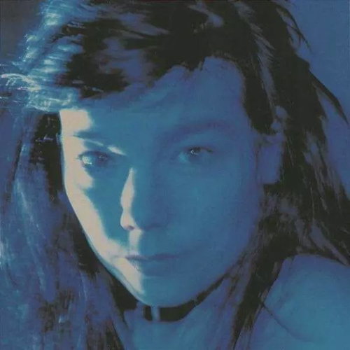Björk: Telegram LTD - LP Record - Main image