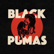 Black Pumas: Black Pumas - LP Record