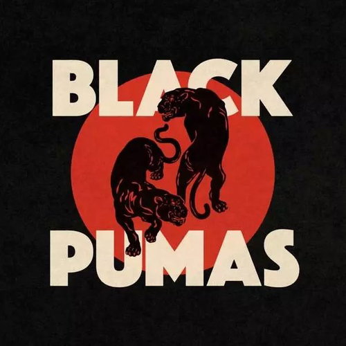 Black Pumas: Black Pumas - LP Record - Main image