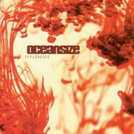 Oceansize: Effloresce CLR - LP Record