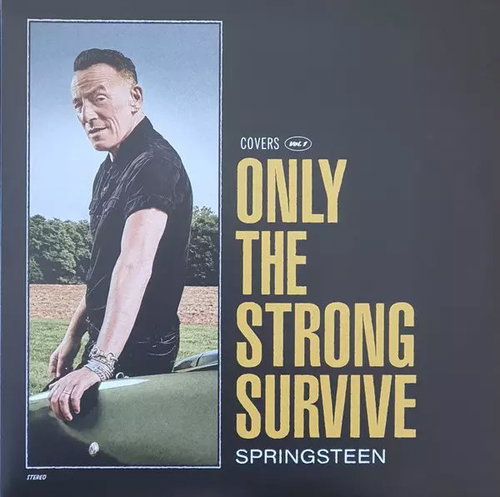 Bruce Springsteen: Only The Strong Survive (Covers Vol. 1) Ltd Clr - LP Record - Main image