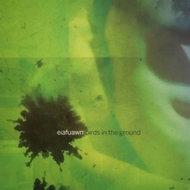 Eiafuawn: Birds In The Ground CLR - LP Record