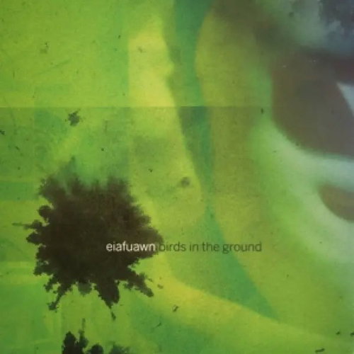 Eiafuawn: Birds In The Ground CLR Main image Eiafuawn: Birds In The Ground CLR - LP Record - Main image