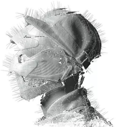 Woodkid: The Golden Age Main image Woodkid: The Golden Age - LP Record - Main image
