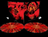 Nile: Annihilation of the Wicked - LP Record
