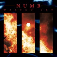 Numb: Wasted Sky LTD - LP Record