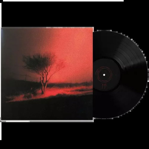 Joji: Piss in the Wind - LP Record - Main image