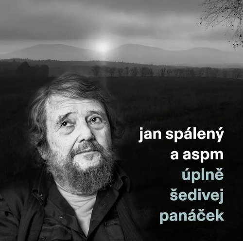 Jan & Aspm Spaleny: The completely grey little man - LP Record - Main image