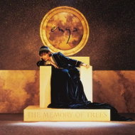 Enya: The Memory of Trees - LP Record