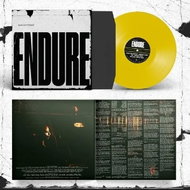 Special Interest: Endure Clr Ltd - LP Record