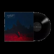 Phoebe Bridgers: Punisher - LP Record