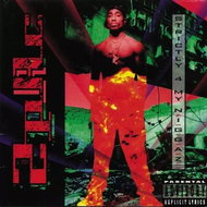 2Pac: Strictly 4 My N.I.G.G.A.Z. - LP Record