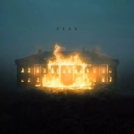 NF: Fear - LP Record