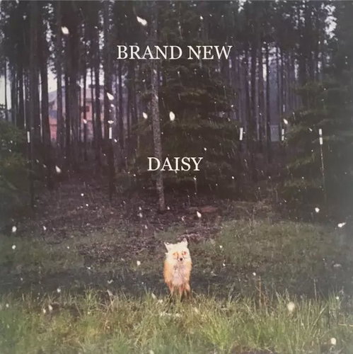 Brand New: Daisy - LP Record - Main image