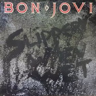 Bon Jovi: Slippery When Wet - LP Record