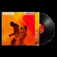 Nothing But Thieves: Moral Panic - LP Record