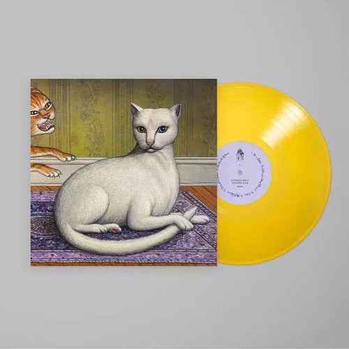 Mitski: Nic se mi nestane - LP Record - Main image