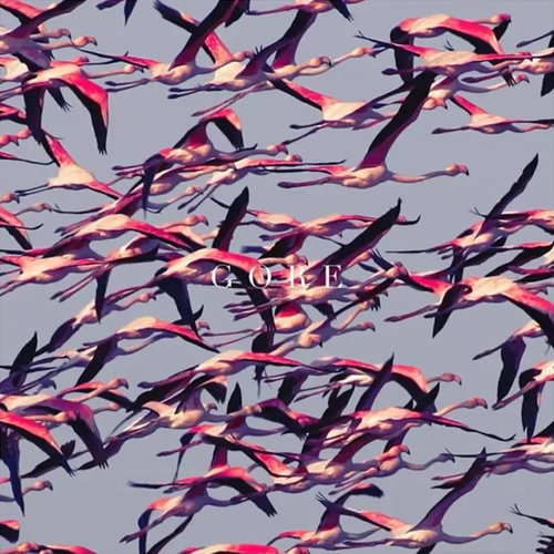 Deftones: Gore Ltd Clr - LP Record - Main image