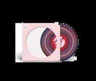 Take That: Everything Changes - LP Record