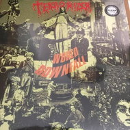 Terrorizer: World Downfall Ltd Clr - LP Record
