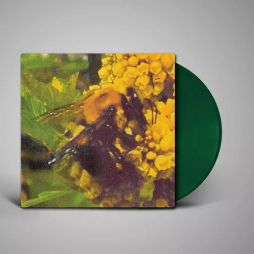 Broncho: Natural pleasure - LP Record - Main image