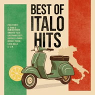 Various Artists: Best Of Italo Hits - LP Record