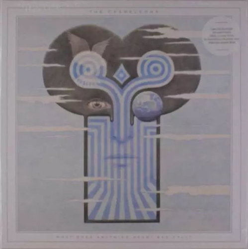 The Chameleons: What Does Anything Mean? Basically Ltd Clr - LP Record - Main image
