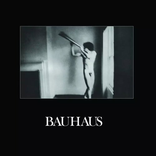 Bauhaus: In the Flat Field - LP Record - Main image