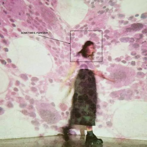 Soccer Mommy: Sometimes, Forever Ltd Clr - LP Record - Main image