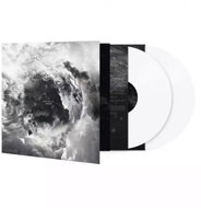 Disillusion: Ayam Clr Ltd - LP Record