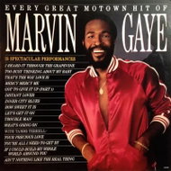 Marvin Gaye: Every Great Motown Hit Of Marvin Gaye - LP Record