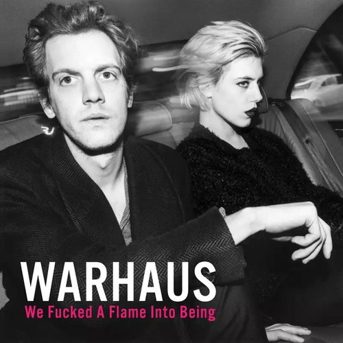 Warhaus: We Fucked a Flame into Being - LP Record - Main image