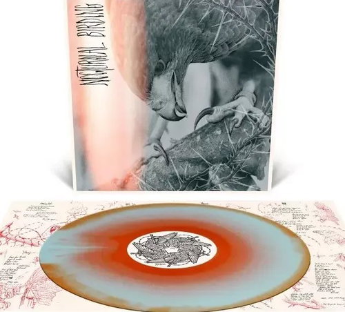 Author & Punisher: Nocturnal Birding - LP Record - Main image