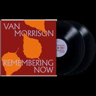 Van Morrison: Remembering Now - LP Record