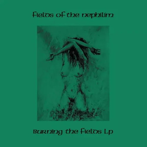 Fields of the Nephilim: Burning the Fields - LP Record - Main image