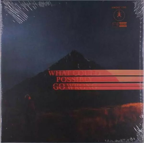 Dominic Fike: What Could Possibly Go Wrong - LP Record - Main image