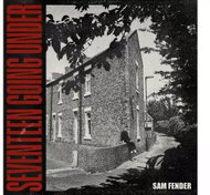 Fender Sam: Seventeen Going Under - LP Record