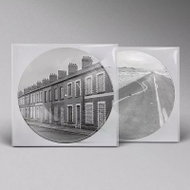 Manic Street Preachers: Critical Thinking picture - LP Record