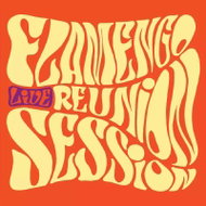 Flamengo Reunion Session: live - LP Record