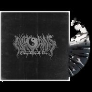 Nirvana 2002: Recordings 89-91 Clr Ltd - LP Record