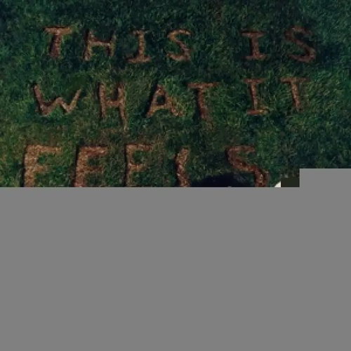 Abrams Gracie: This Is What It Feels Like - LP Record - Main image