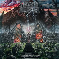 Undeath: It's Time. To Rise From The Grave Ltd Clr - LP Record
