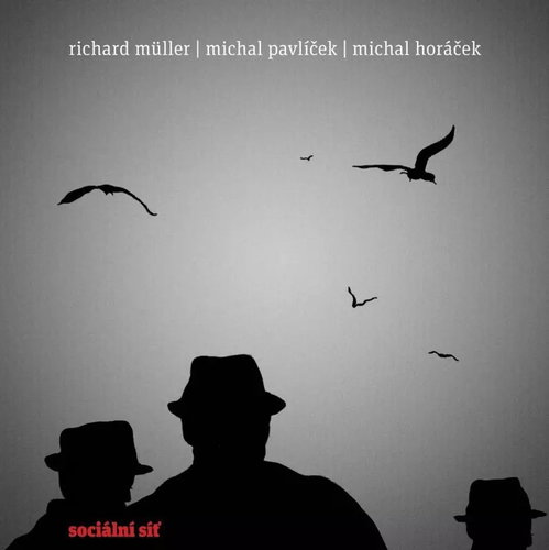 Müller Richard: Social Network - LP Record - Main image