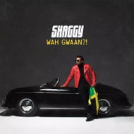 Shaggy: Wah Gwaan?! CLR - LP Record