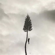 Manchester Orchestra: A Black Mile to the Surface - LP Record