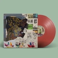 Animal Collective: Time Skiffs Ltd Clr - LP Record