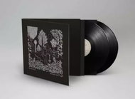 Dead Can Dance: Garden of the Arcane Delights • The John Peel Sessions - LP Record