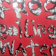 DIIV: Frog in Boiling Water Clr Ltd - LP Record